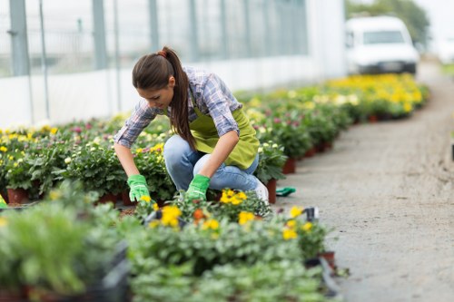 A young woman with long brown hair, dressed in a checked shirt, blue jeans, and a light green apron, is kneeling on a gravel pathway in a greenhouse or nursery. She is wearing green gardening gloves and tending to a row of potted flowering plants that display vibrant yellow and purple blooms. The scene features a neatly organized outdoor space with parallel rows of plants, separated by a gravel walkway, and a modern glass structure in the background allowing natural light to illuminate the garden. The plants are thriving, with lush green foliage and healthy flowers, indicative of professional gardening care. To the right, additional flower beds with yellow flowering plants are visible, and further back, blurred foliage and greenery suggest a well-maintained garden environment consistent with lawn and landscaping services offered by Lawn Mowing Hatch End, serving the Hatch End area within the HA5 postcode district in Harrow. The overall scene exudes a tidy, vibrant, and carefully cultivated outdoor garden space designed for planting and horticultural maintenance, typically provided as part of comprehensive gardening services in the local area.