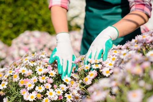 Operative using PPE while performing lawn maintenance