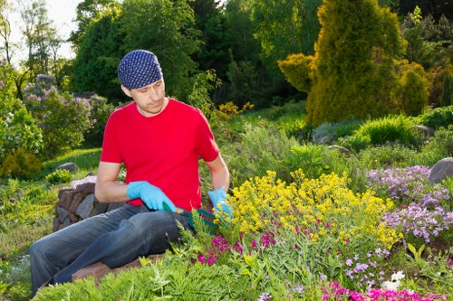 Landscaper planning decking and planting layout in a residential garden